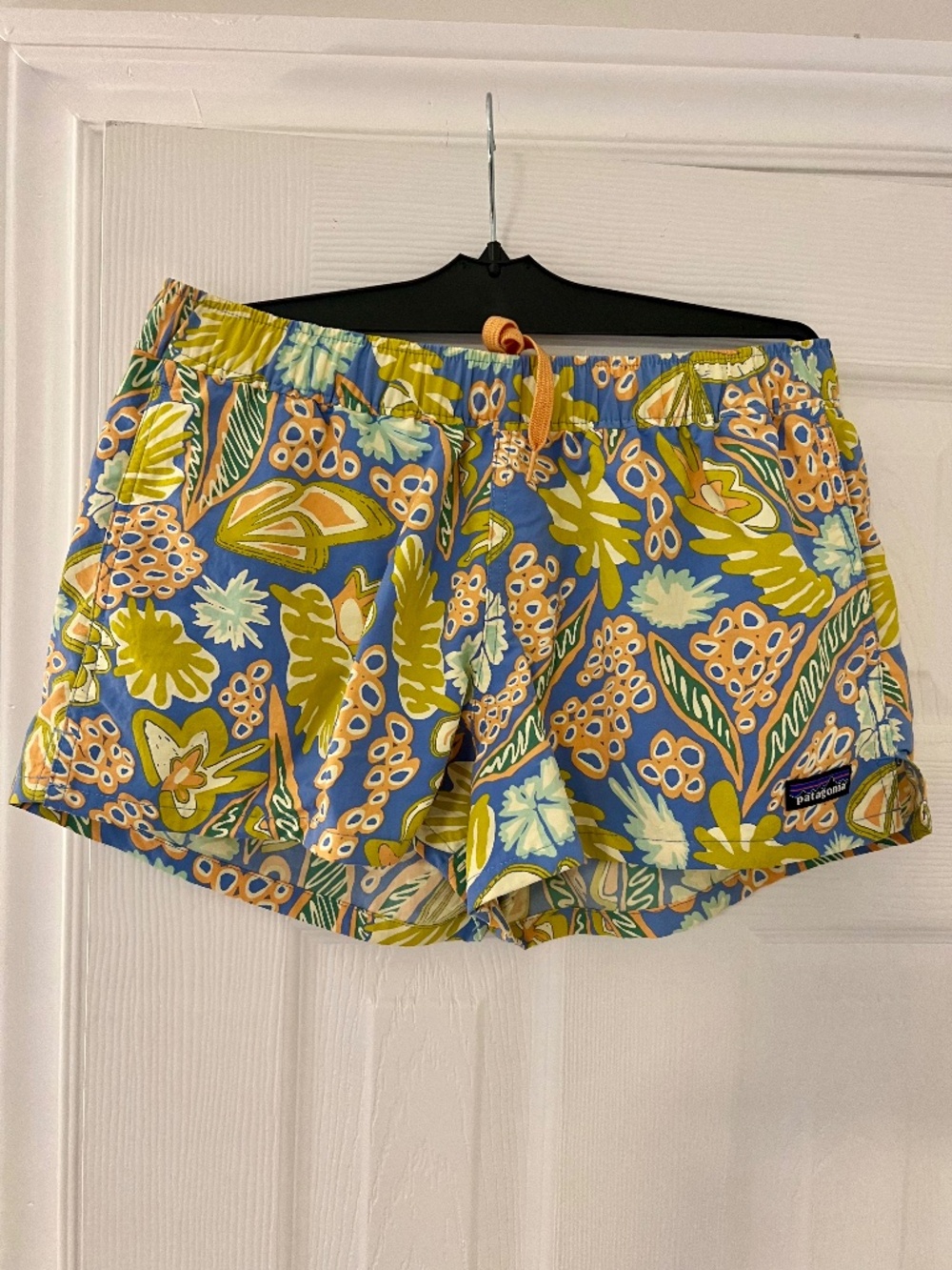 Patagonia Board Shorts